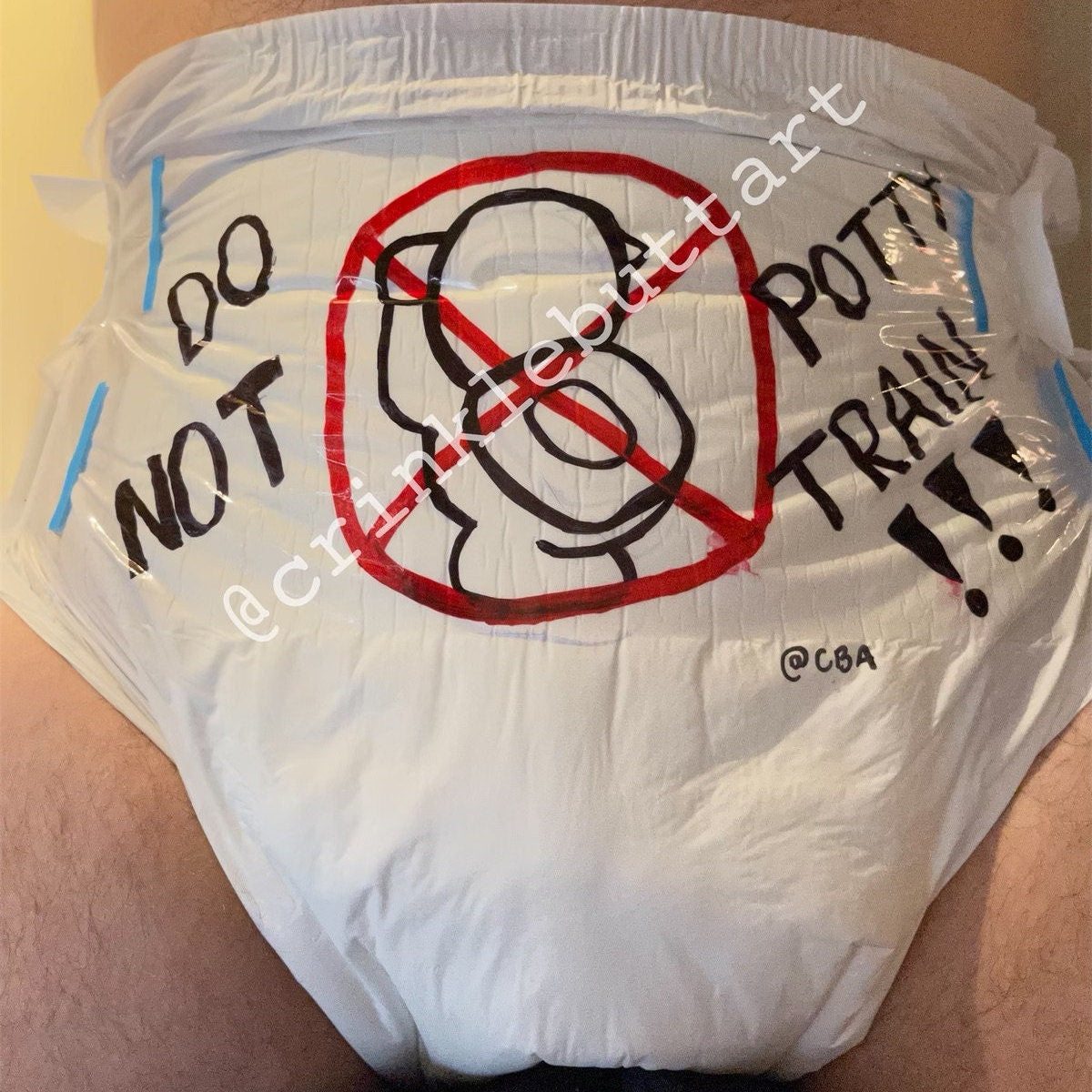 ABDL Adult Baby Diaper, "Do NOT Potty Train!"