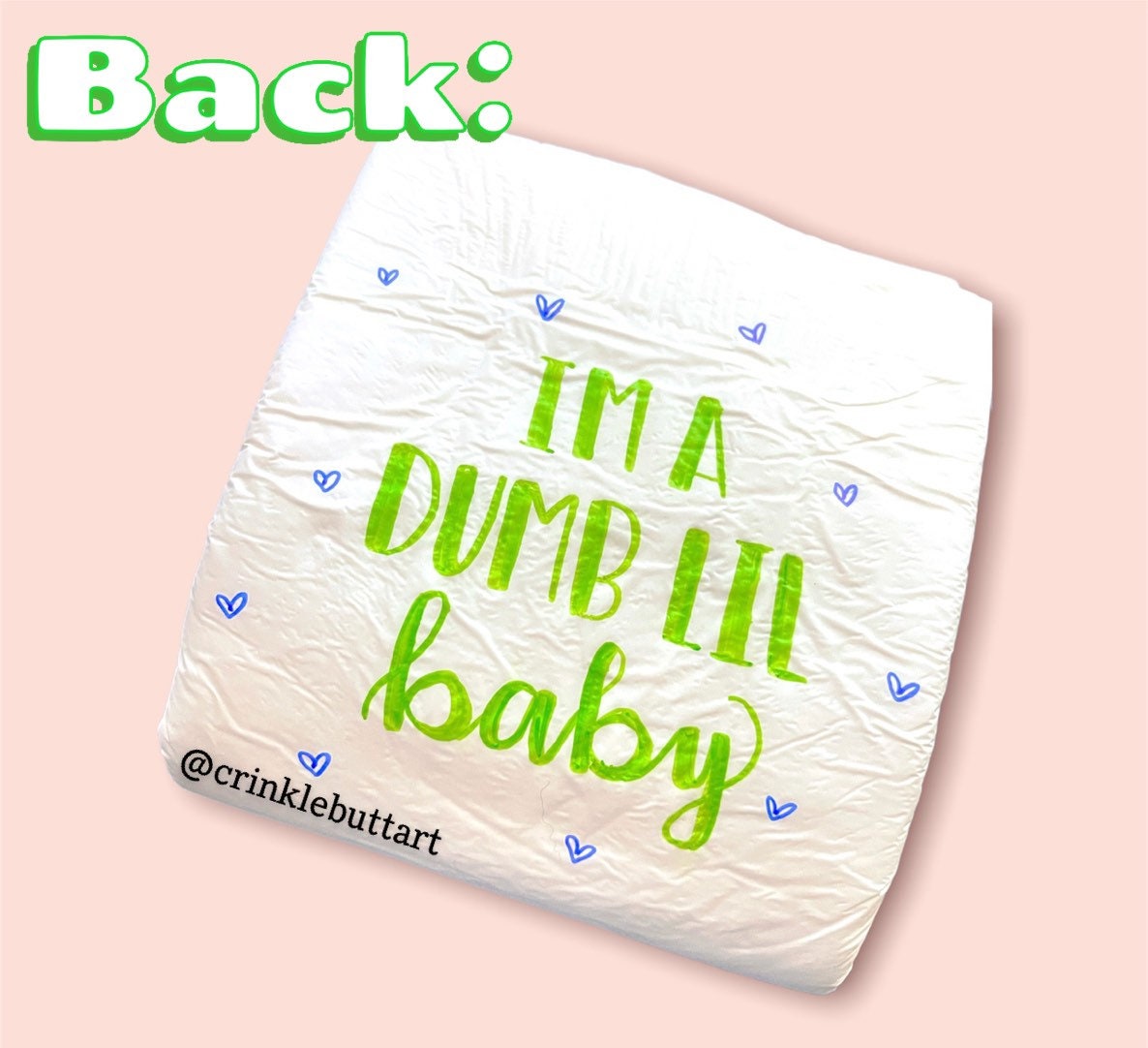 ABDL Adult Baby Diaper, “Gag & Cage Me-I’m A Dumb Little Baby , Front and Rear Lettering